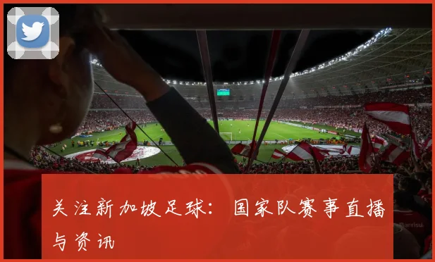 关注新加坡足球：国家队赛事直播与资讯