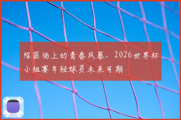 绿茵场上的青春风暴，2026世界杯小组赛年轻球员未来可期