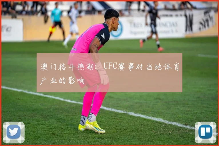 澳门格斗热潮：UFC赛事对当地体育产业的影响