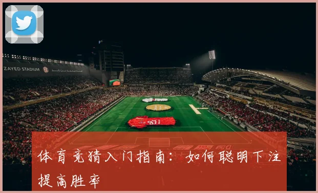 体育竞猜入门指南：如何聪明下注提高胜率