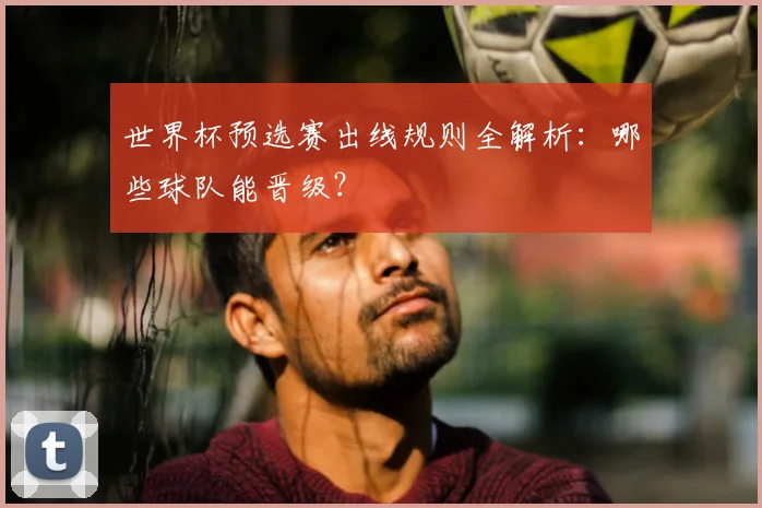 世界杯预选赛出线规则全解析:哪些球队能晋级?