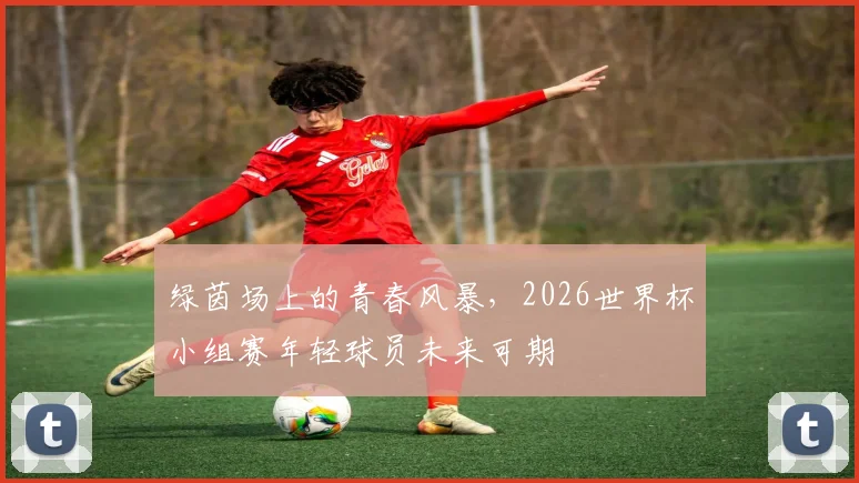 绿茵场上的青春风暴，2026世界杯小组赛年轻球员未来可期