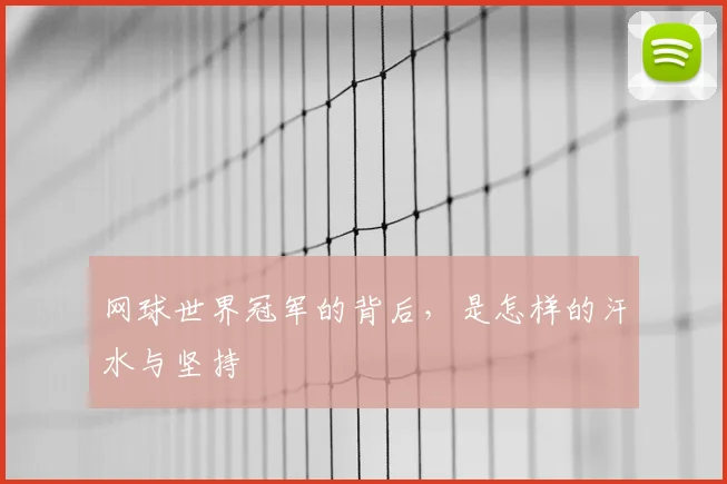 网球世界冠军的背后,是怎样的汗水与坚持