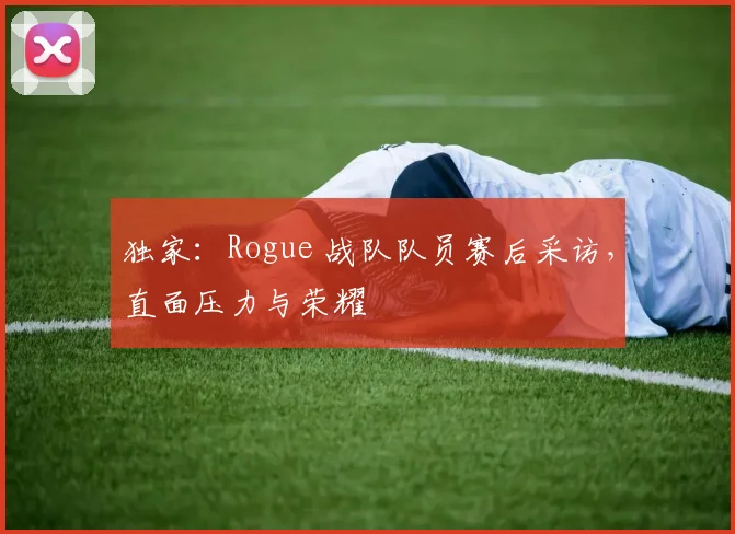 独家：Rogue 战队队员赛后采访，直面压力与荣耀