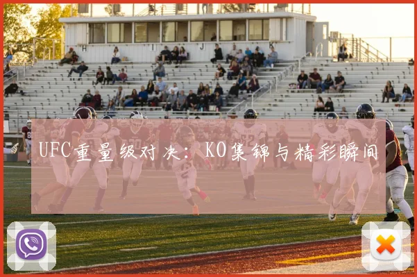 UFC重量级对决：KO集锦与精彩瞬间