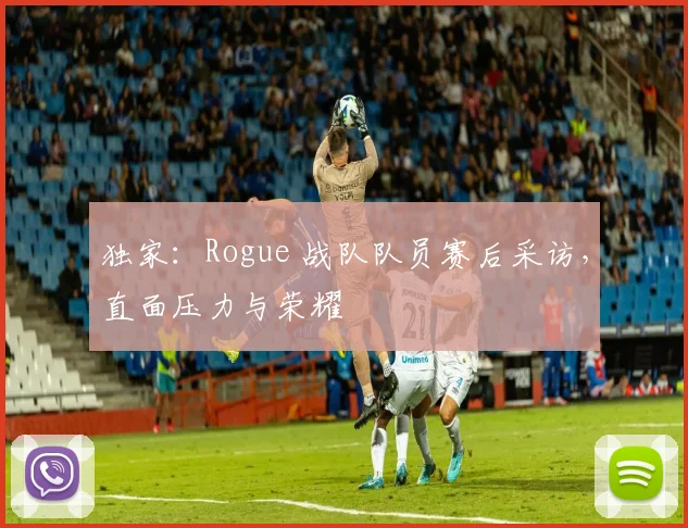 独家：Rogue 战队队员赛后采访，直面压力与荣耀