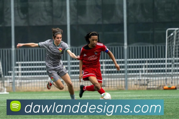 数据防护可视化